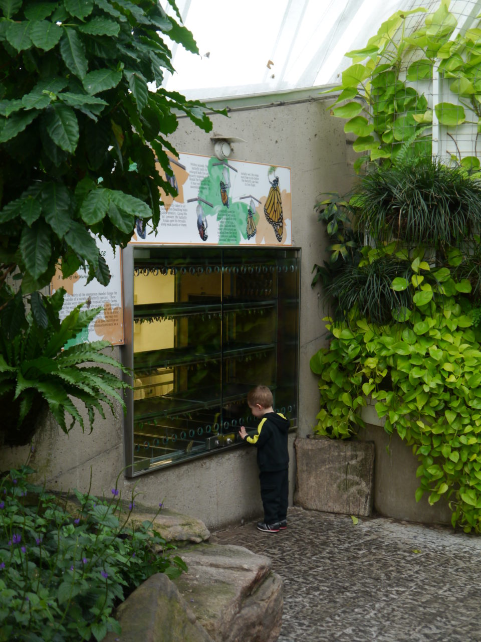 Blast Conservatory* Blast Conservatory, The - The Blast Conservatory Blast Conservatory* Blast Conservatory, The - The Blast Conservatory