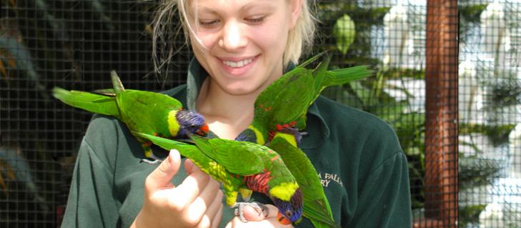 Bird Kingdom Bird Kingdom