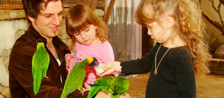 Bird Kingdom Bird Kingdom