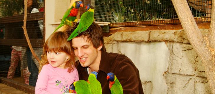 Bird Kingdom Bird Kingdom