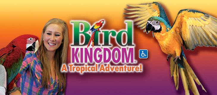 Niagara Falls Bird Aviary Bird Kingdom Niagara Falls