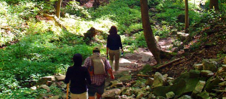 Niagara Glen