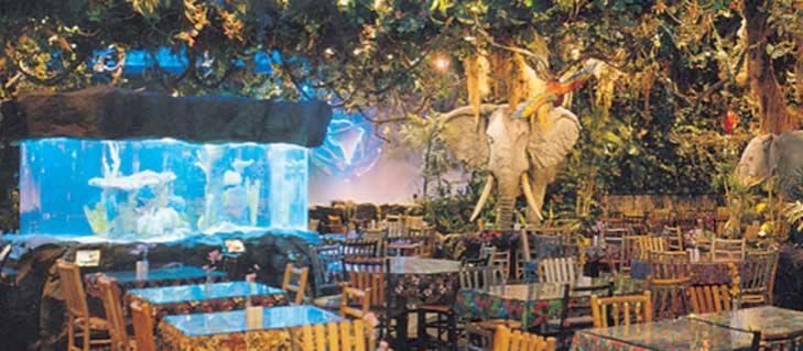 rainforest cafe pictures rainforest cafe pictures