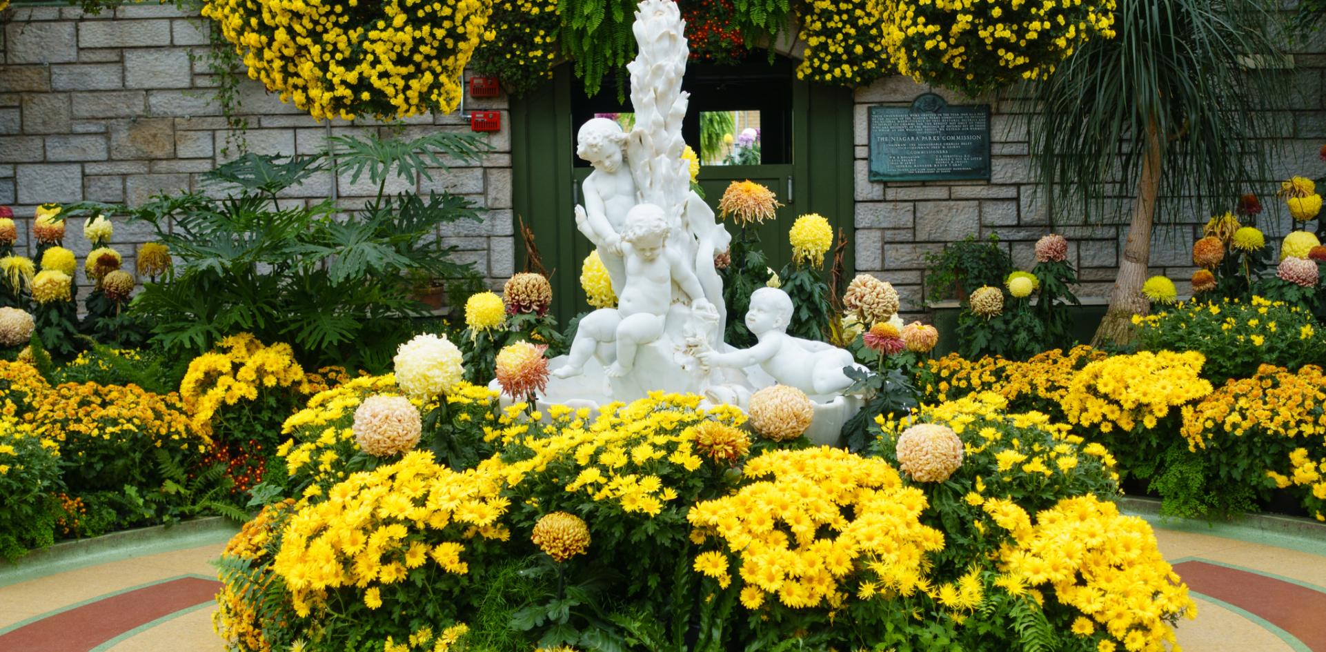 niagara gardens floral showhouse