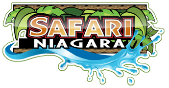 Safari Niagara / Zooz