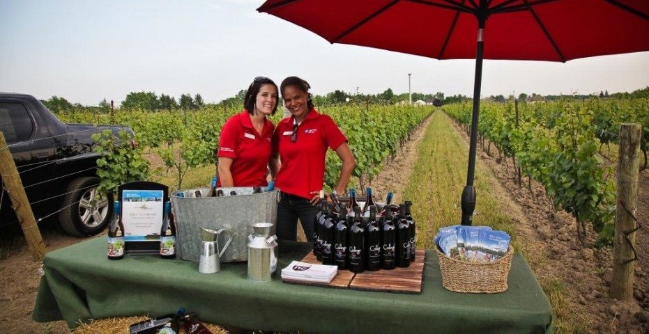 Niagara Vintage Wine Festival 2013