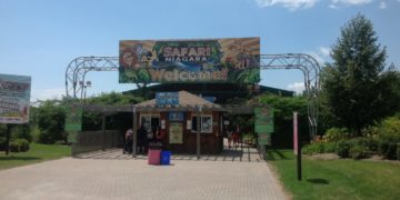 Safari Niagara