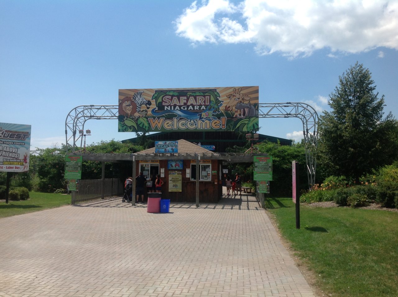 Safari Niagara