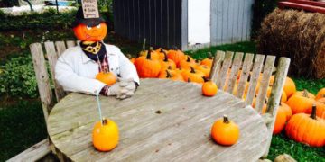 Niagara Pumpkin Farms