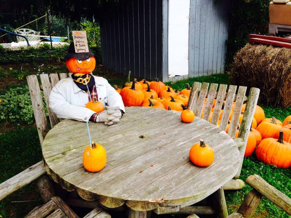 Niagara Pumpkin Farms