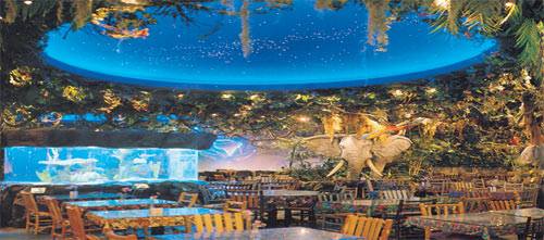 Rainforest Cafe Clifton Hill Menu Rainforest Cafe Clifton Hill Menu