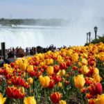 Spring Break in Niagara Falls