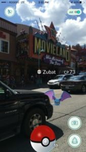 Pokemon GO Niagara Falls