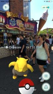 Pokemon GO Niagara Falls