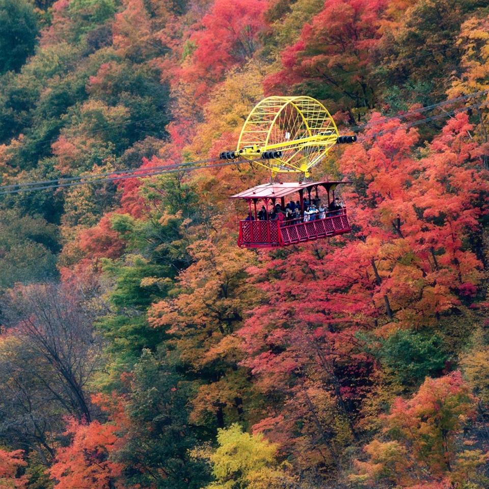 Fall colours in Niagara