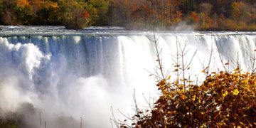 Fall Colours In Niagara