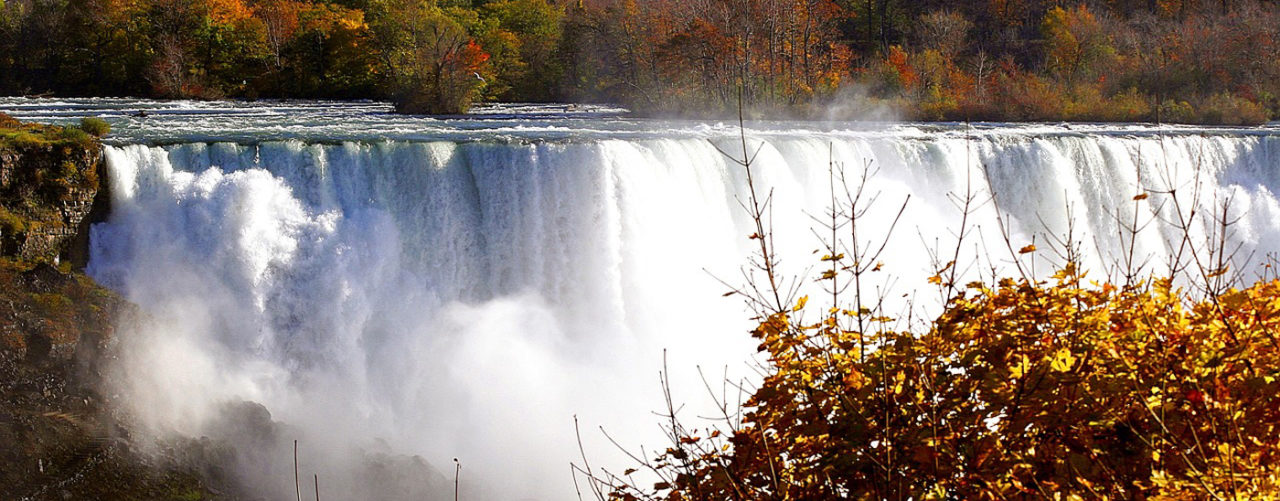 Fall Colours In Niagara