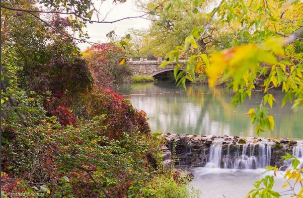 Fall colours in Niagara