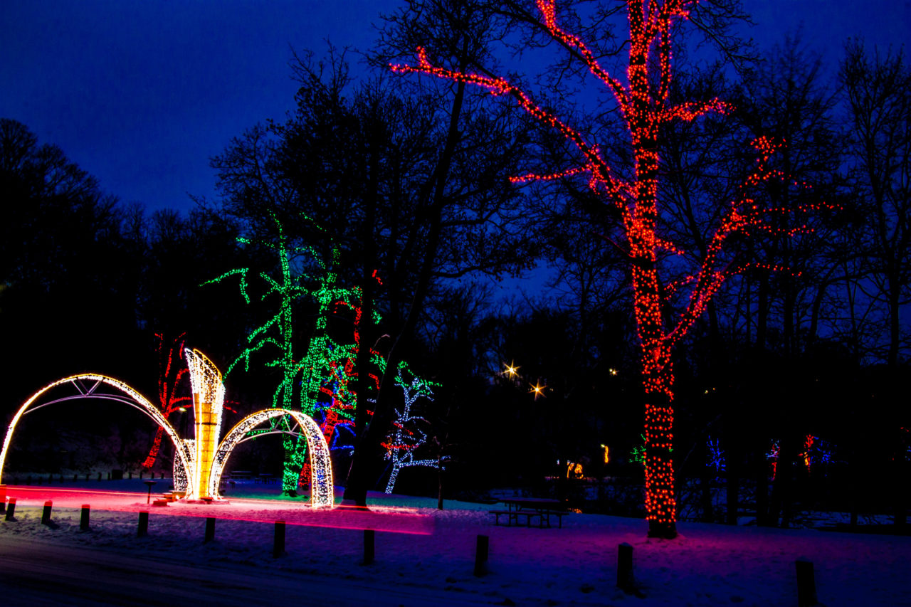 10 Free Things To Do In Niagara Falls For January