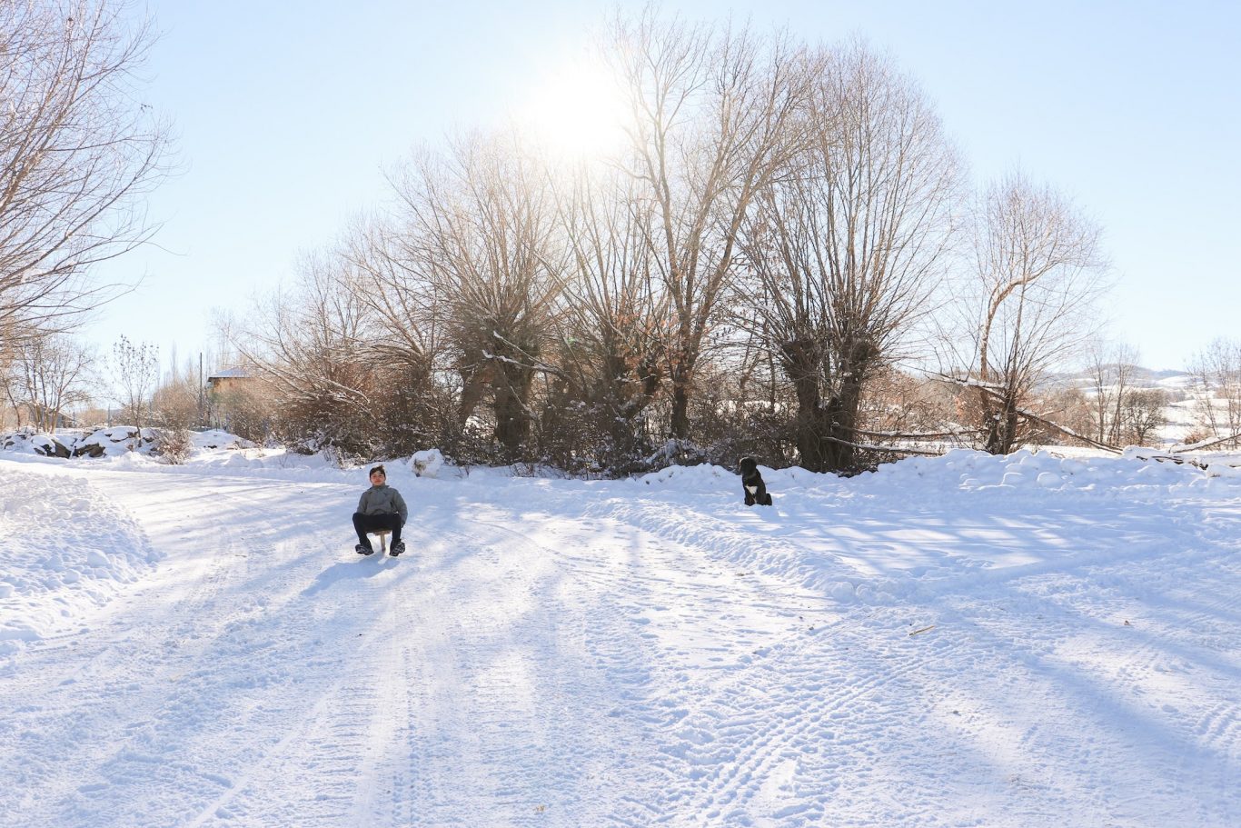 Niagara Sledding