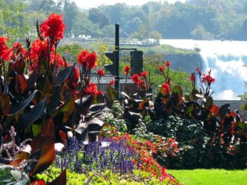 Queen Victoria Park