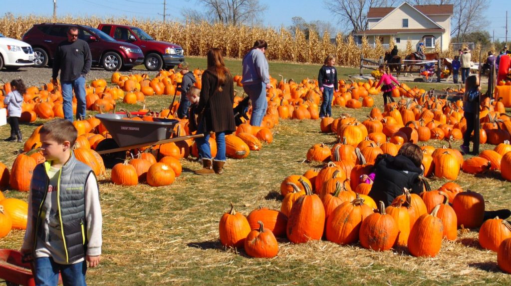 Niagara Festivals and Fairs