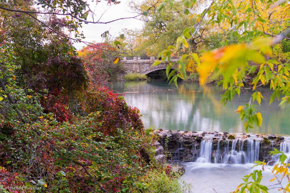 5 Awe-Inspiring Places To View Fall Colours In Niagara | Clifton Hill Blog