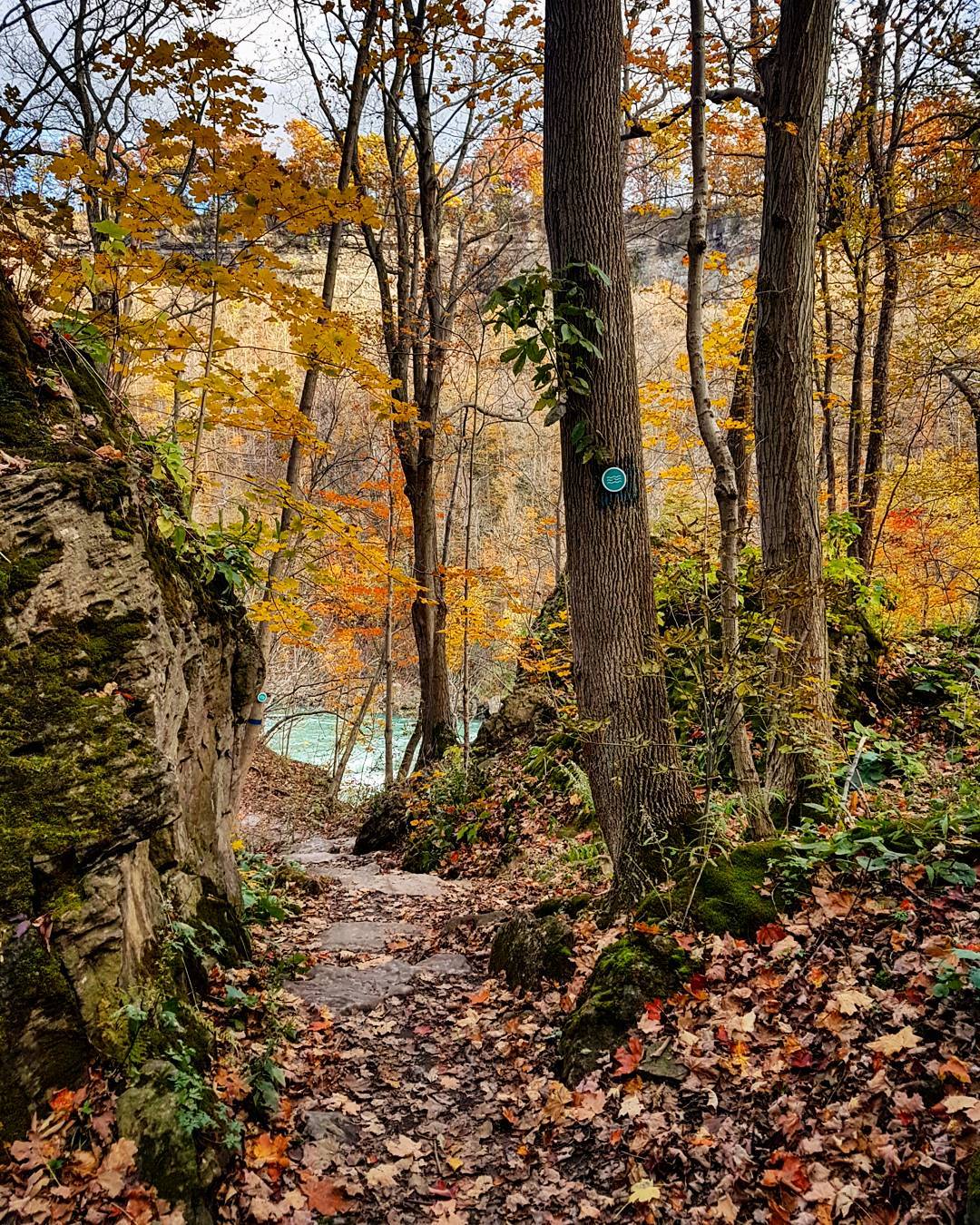 Fall colours in Niagara