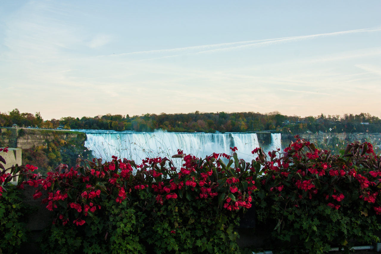 free things to do in November in Niagara Falls