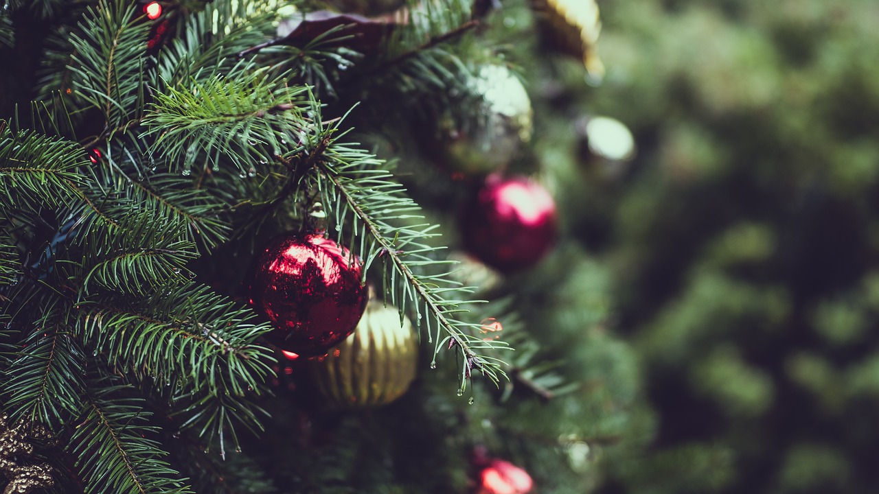 Where To Pick Real Christmas Trees In Niagara Niagara Falls Blog