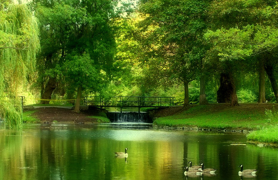 Dufferin Islands