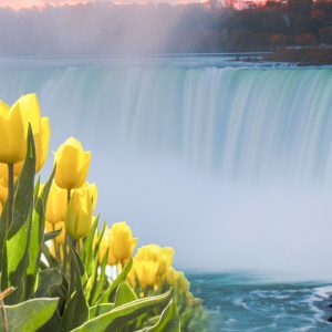 Easter Spring Niagara Falls