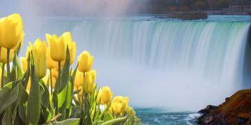 Easter Spring Niagara Falls