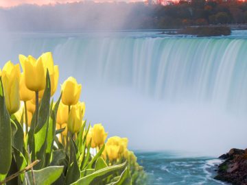 Easter Spring Niagara Falls