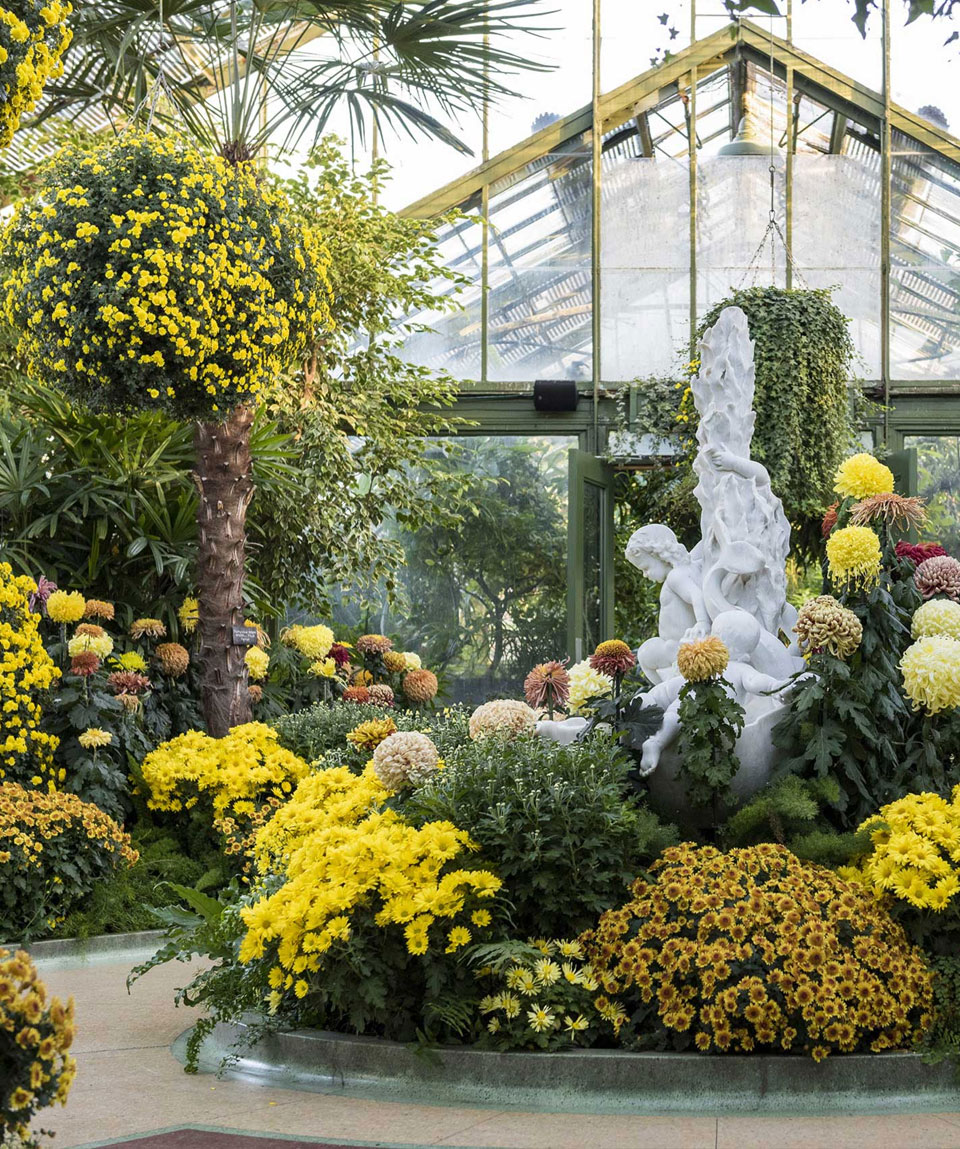 Floral Showhouse