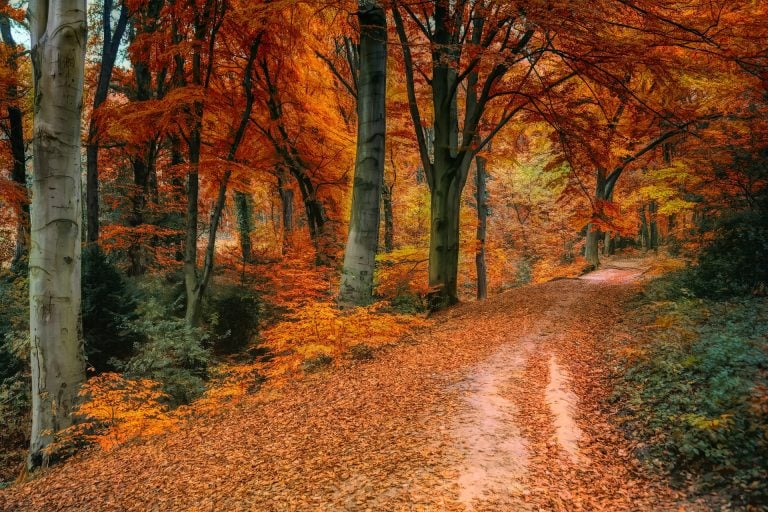 Niagara Hiking Trails