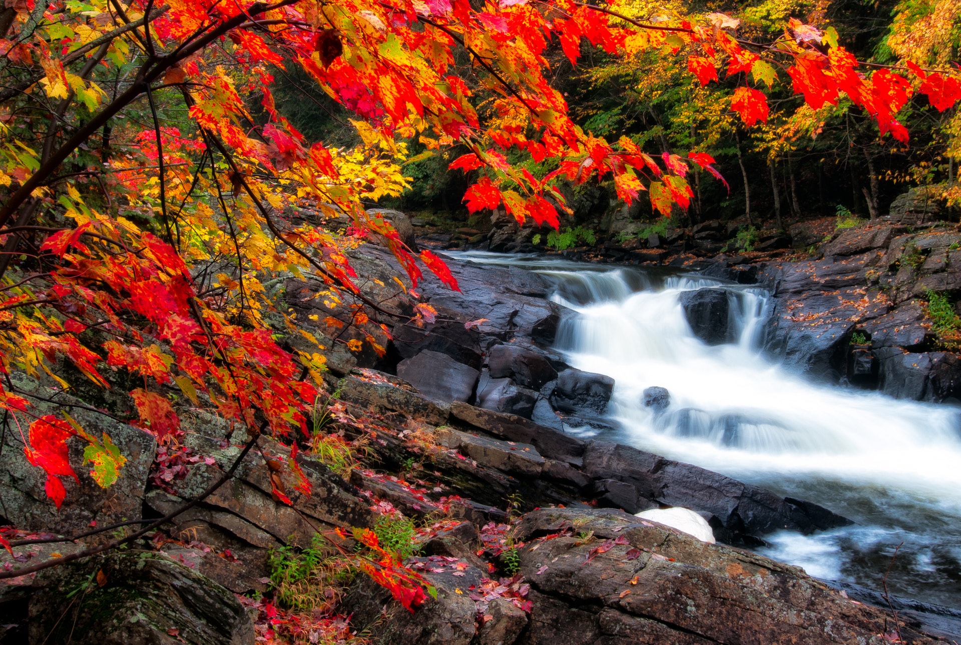 Top Waterfalls to see in Niagara During The Colourful Fall Season Niagara Falls Blog