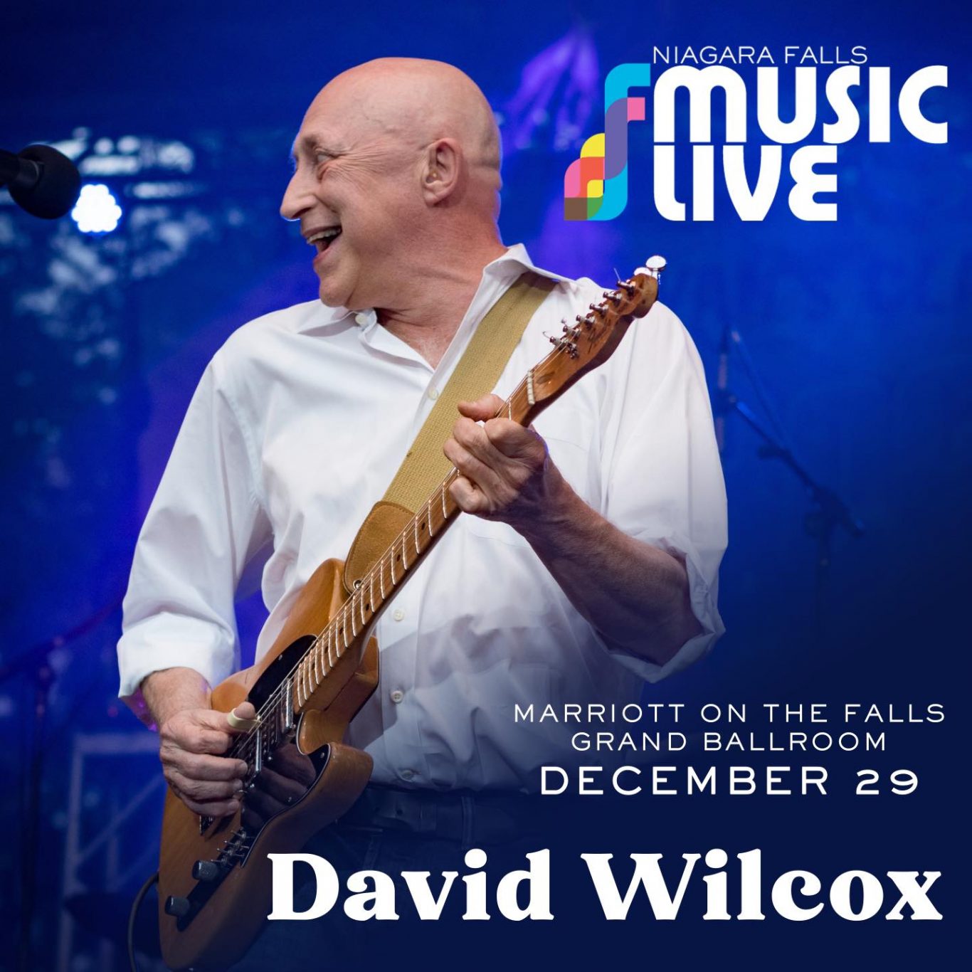 David Wilcox