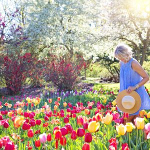 Mothers Day Garden