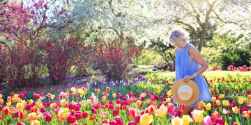 Mothers Day Garden