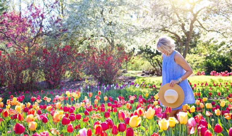 Top Mother’s Day Activities In Niagara Falls