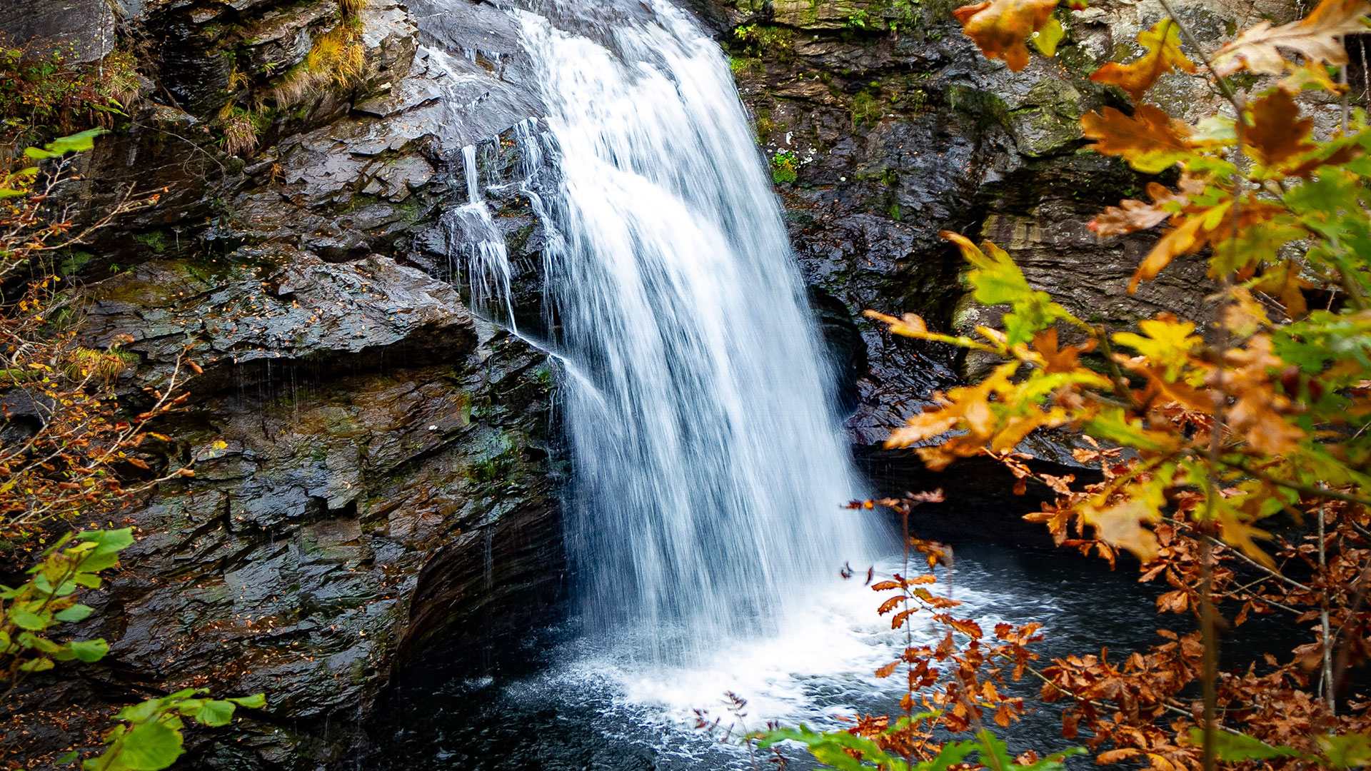 Niagara Waterfalls Autumn