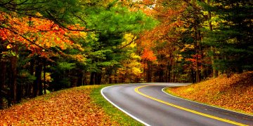 Niagara Parkway Fall Colours