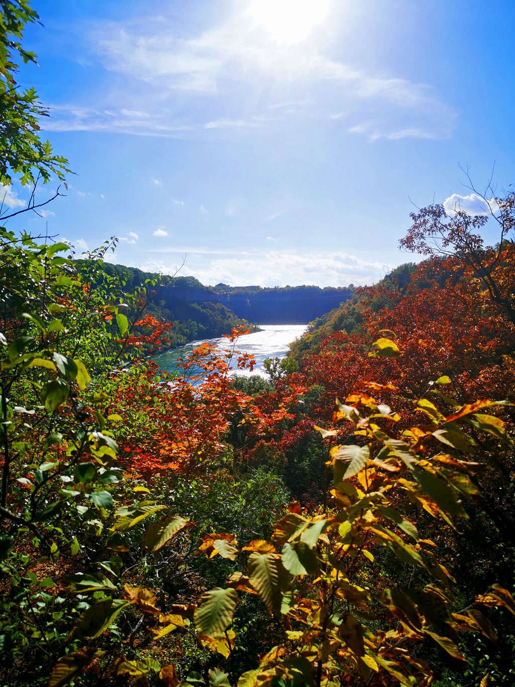 Whirlpool Gorge Colours of Autuem