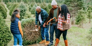 Niagara Christmas Tree Farms