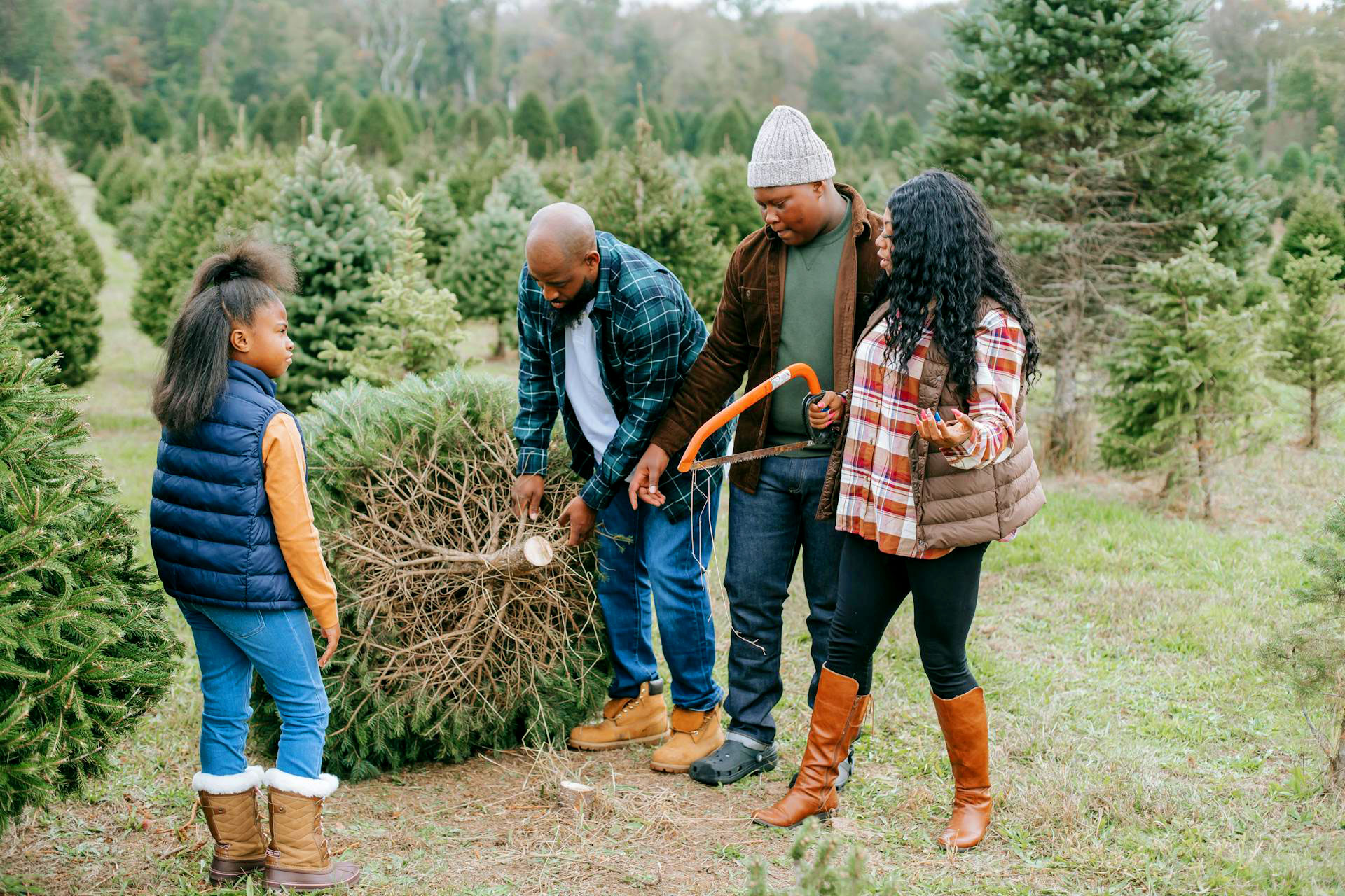 Niagara Christmas Tree Farms