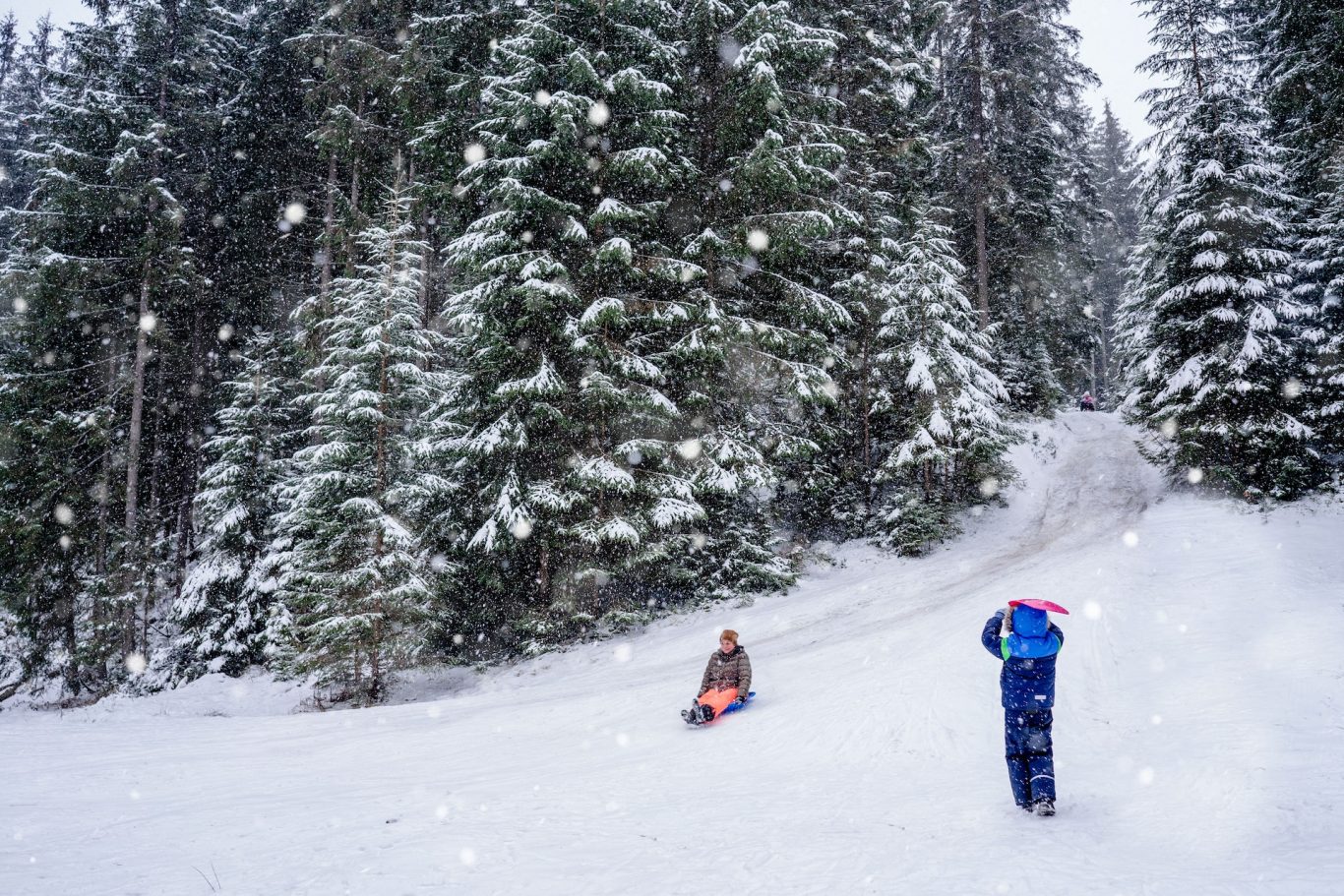 Niagara Sledding