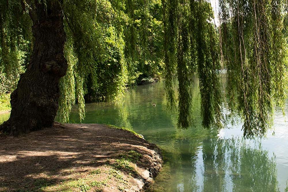 Dufferin Islands