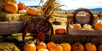Pumpkin Farms Niagara