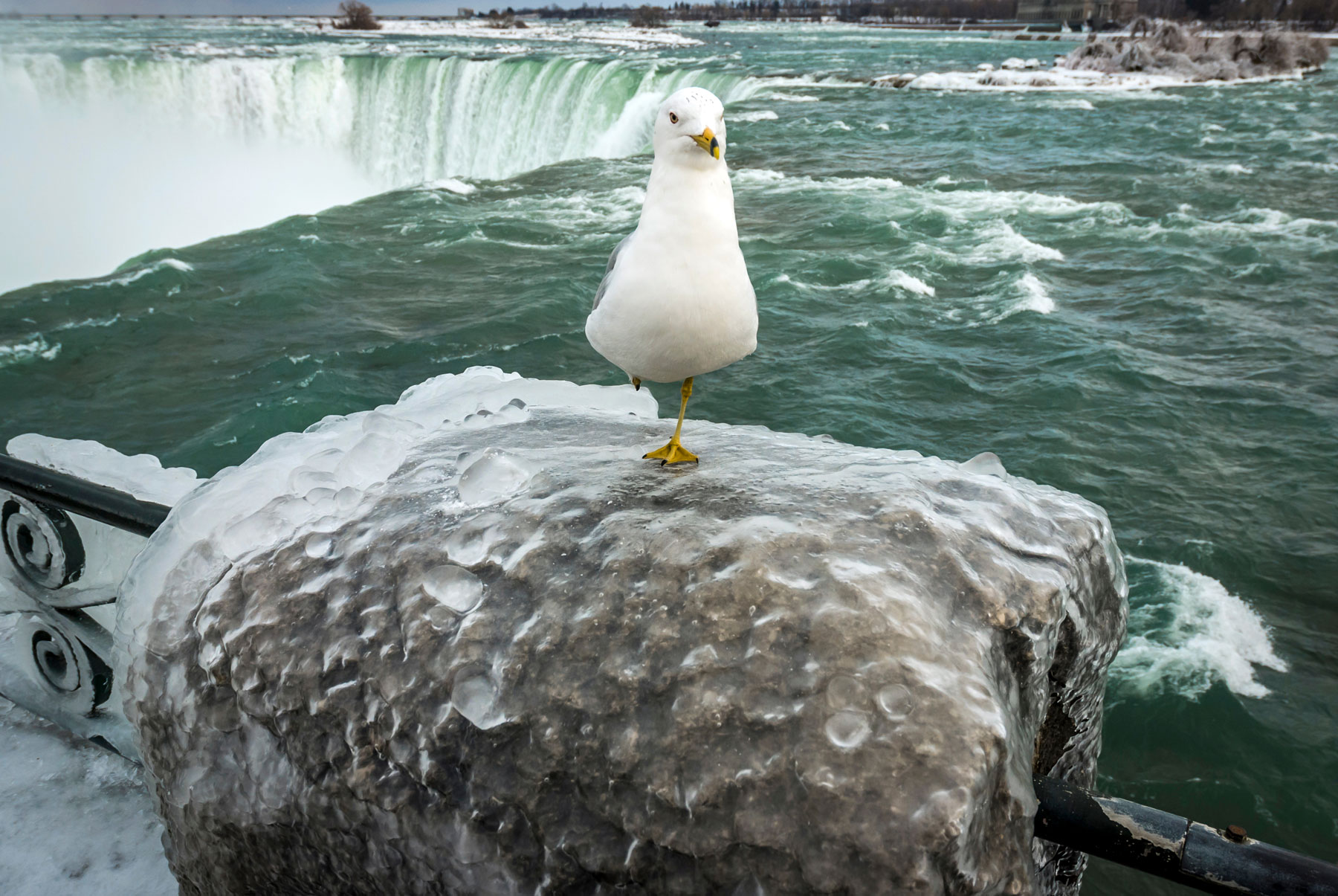 Niagara Falls Winter table rock area